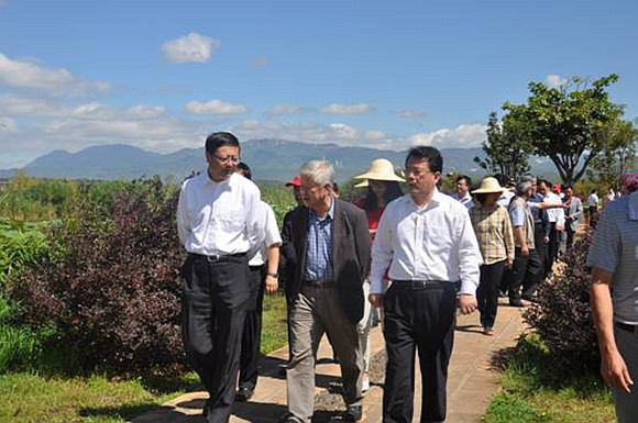 局长李文标向陈吉宁现场汇报了罗时江生态湿地运行情况和水质处理效果